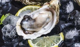 爆料生蚝海鲜吃货视频教程,吃货必看视频教程解析